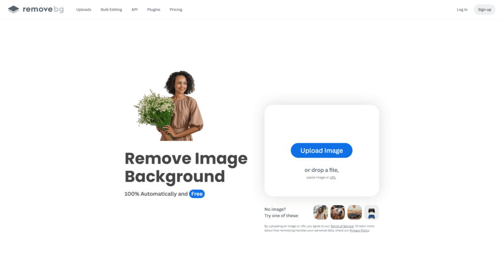 Remove.bg AI background removal demo